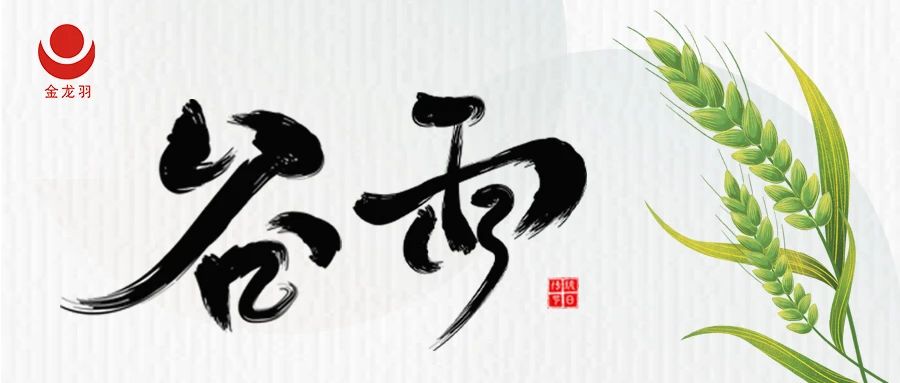 谷雨丨春雨绵绵，雨生百谷