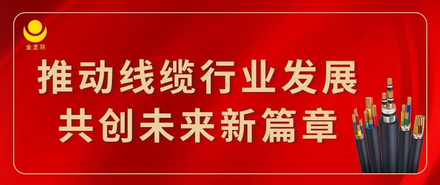 金龙羽集团：推动线缆行业发展，共创未来新篇章