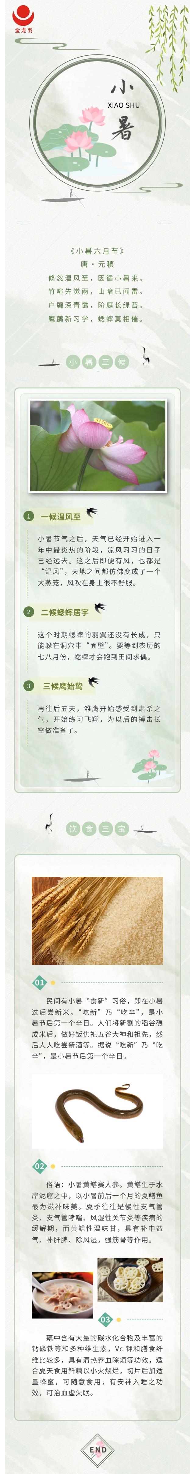 精品无码国产AV一区二区三区