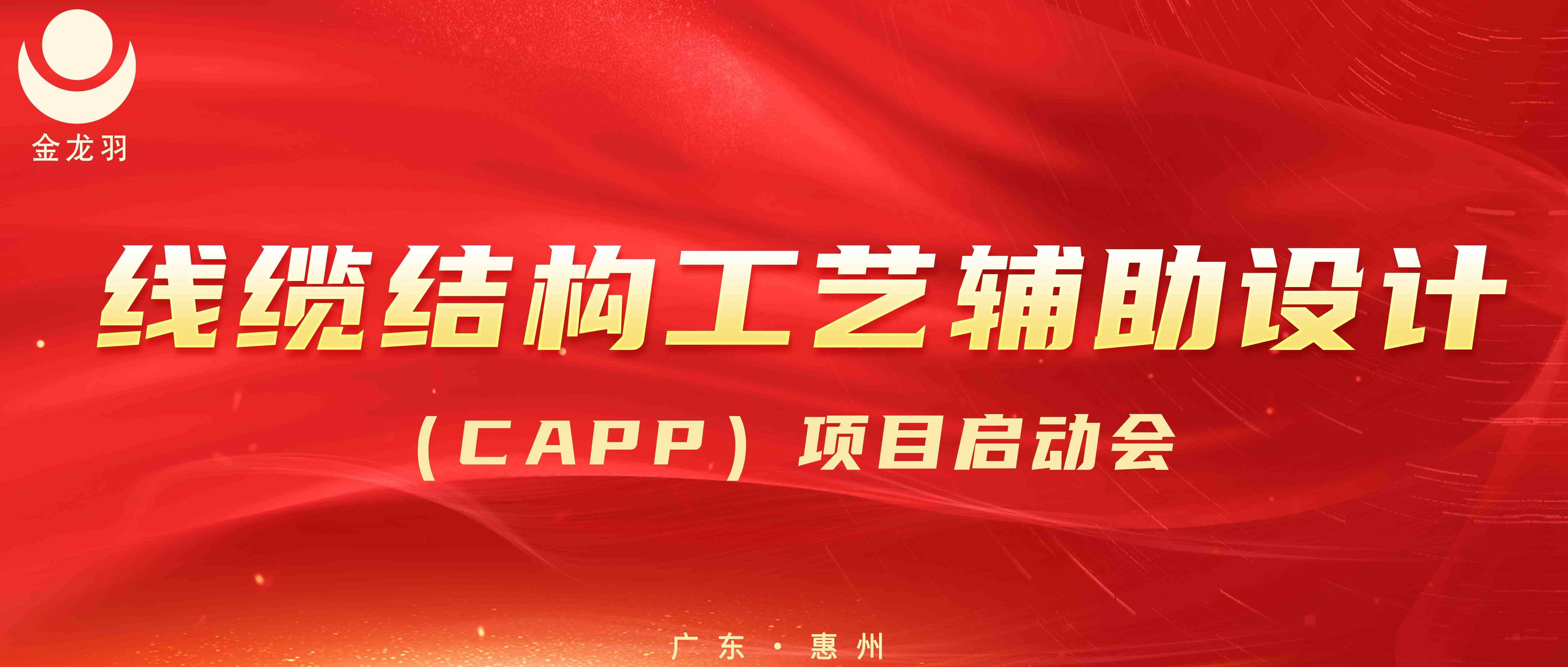 金龙羽集团|线缆结构工艺辅助设计(CAPP)项目启动会圆满召开！