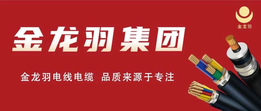 城市流动的风景线，金龙羽点亮全城！