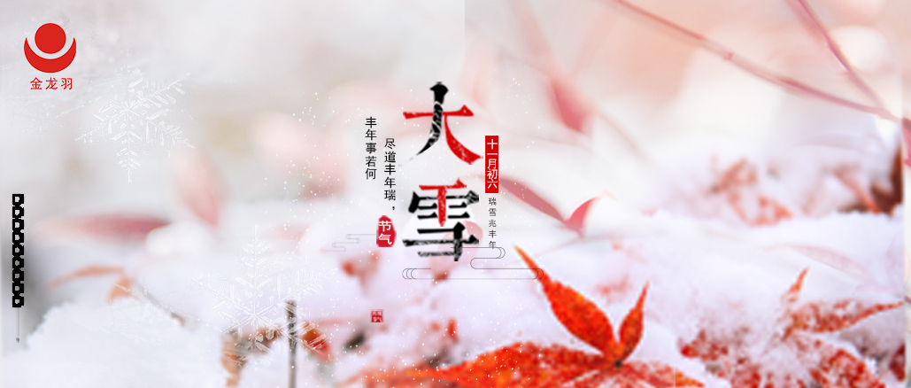大雪至，暖相伴 | 金龙羽与您共赴寒冬盛景！