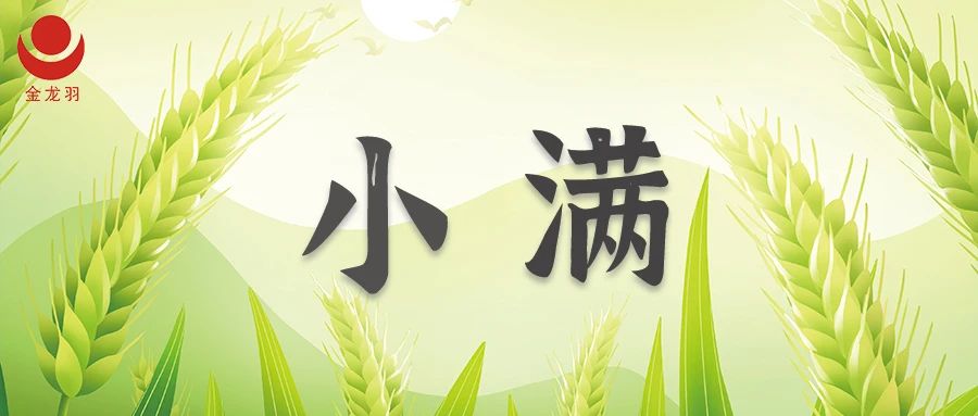 小满 | 盈而未满 诚信灌溉