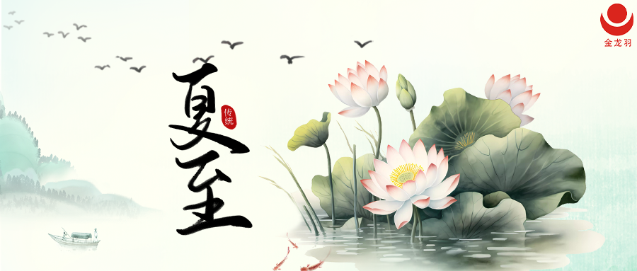 夏至 | 夏意正浓 向光而生